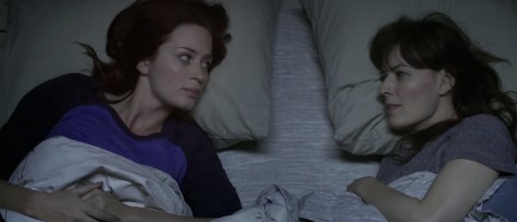 your-sosters-sister-mark-duplass-emily-blunt-rosemarie-dewitt-2011-movie-review-mumblecore