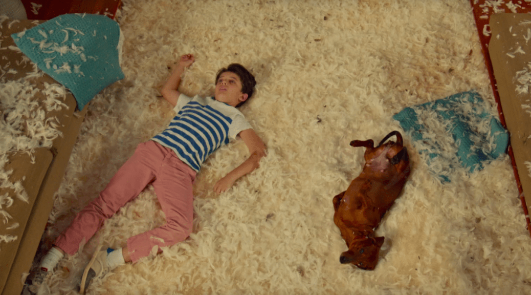 wiener-dog-movie-review-2016-todd-solondz-dark-comedy