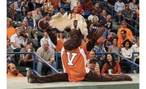 mascots-2016-movie-review-christopher-guest