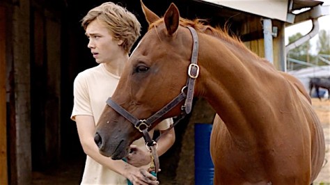 movie-review-2018-lean-on-pete-andrew-haigh