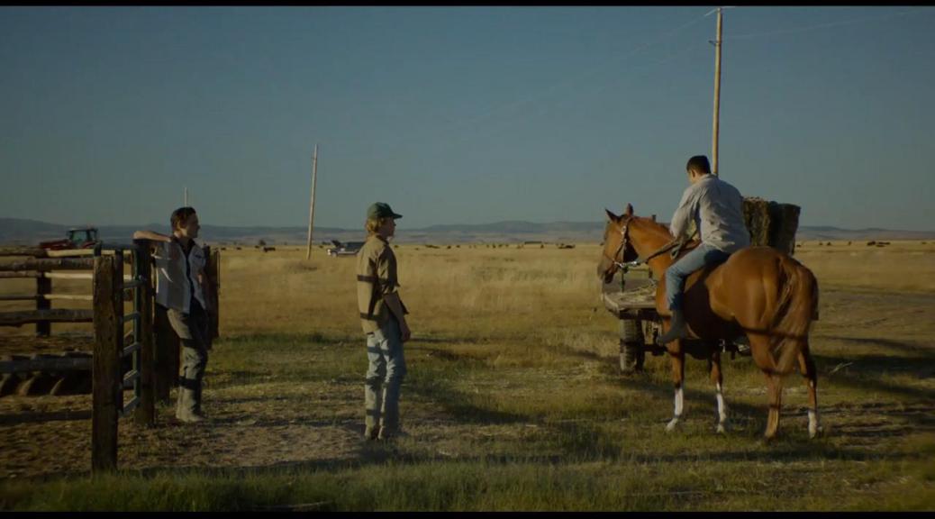 2018-movie-review-lean-on-pete-horse-movie