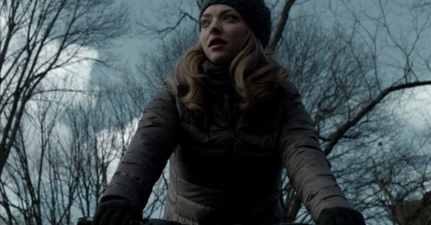 amanda-seyfried-2018-first-reformed-movie-review-paul-schrader