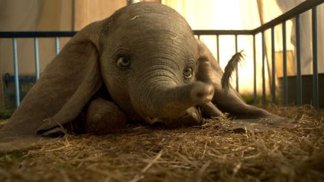 dumbo-movie-review-2019-tim-burton